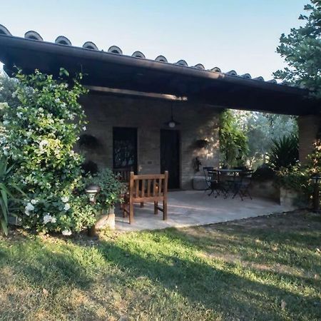 Dimora Borgogni: Country House Περούτζια Εξωτερικό φωτογραφία